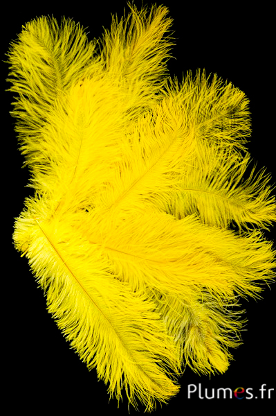 Autruche - 30-40 cm - jaune